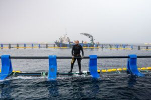 Itsas Balfegó aborda la última fase de su proyecto en el Cantábrico para verificar su viabilidad técnica y económica 1 DPM 7294