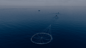 Cerramos la campaña de atún rojo 2026 reafirmando nuestro compromiso con la pesca selectiva 1 Diseno sin titulo 39 1